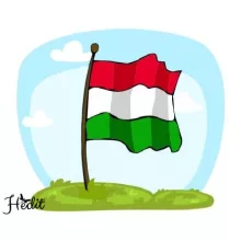 Zászlós felvasalható matrica